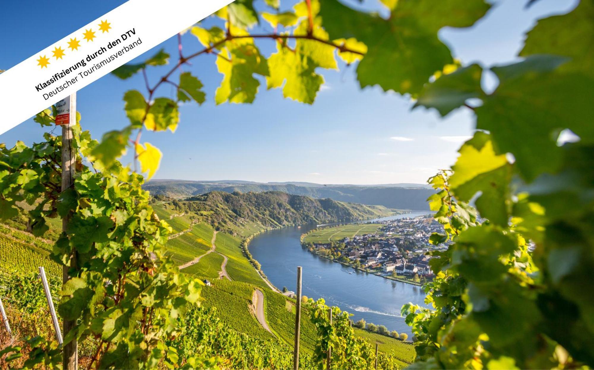 Ferienwohnung Wohlfuehloase An Der Mosel Osann-Monzel Exterior foto